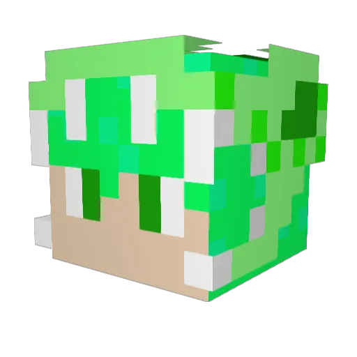 swyto1234 Minecraft avatar head, 3D render