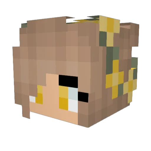 sx8889 Minecraft avatar head, 3D render