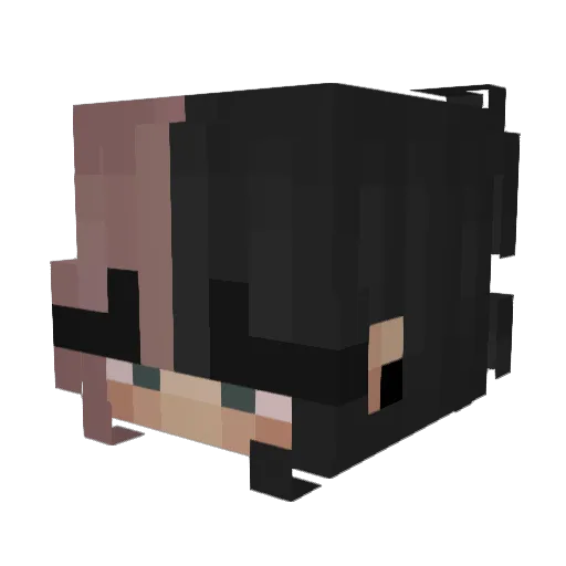 sxbu_ Minecraft avatar head, 3D render