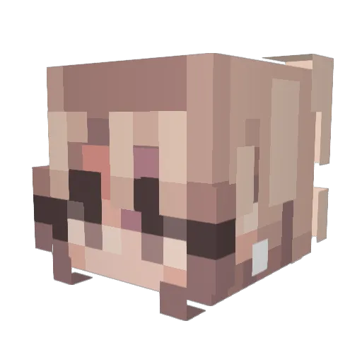 sxcvli Minecraft avatar head, 3D render