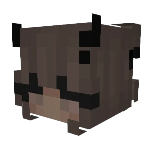 sxffy_ Minecraft avatar head, 3D render