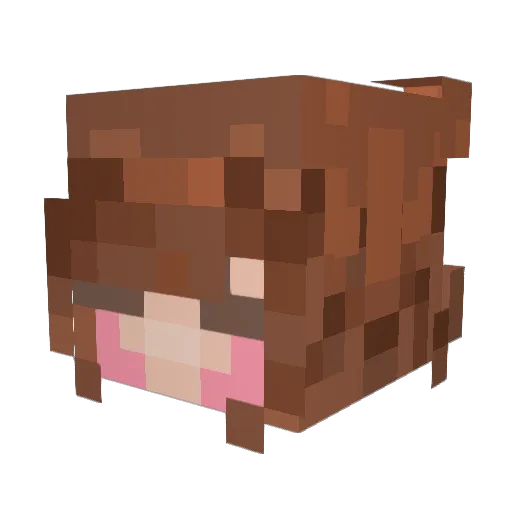 sxftapricot Minecraft avatar head, 3D render