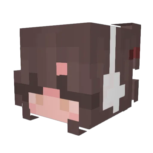 sxftblze Minecraft avatar head, 3D render