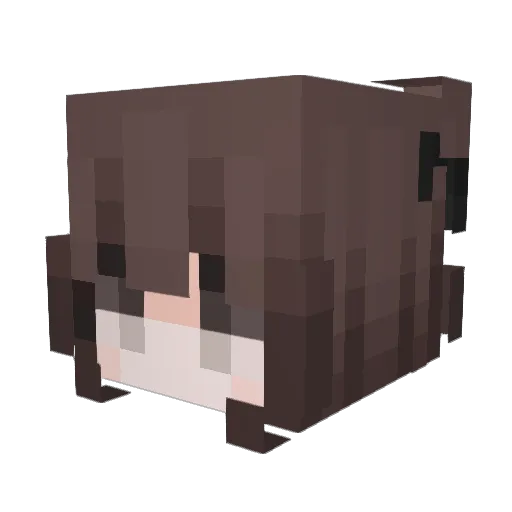 sxinF_ Minecraft avatar head, 3D render