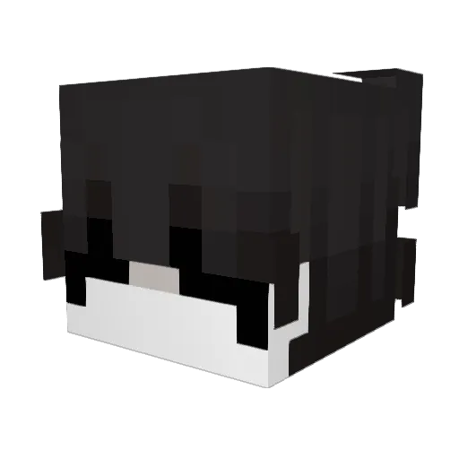sxinn Minecraft avatar head, 3D render
