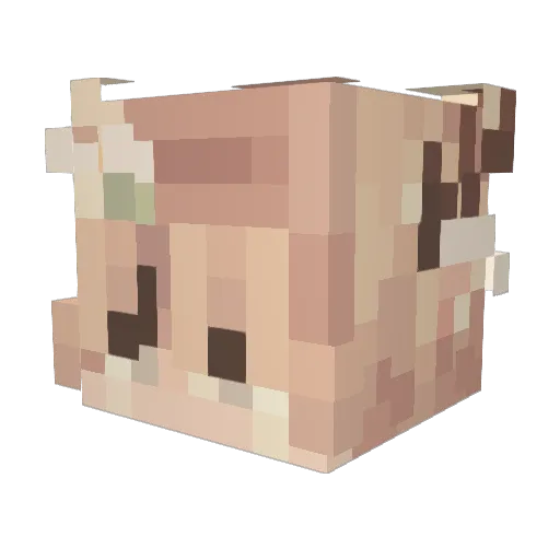 sxirencore Minecraft avatar head, 3D render