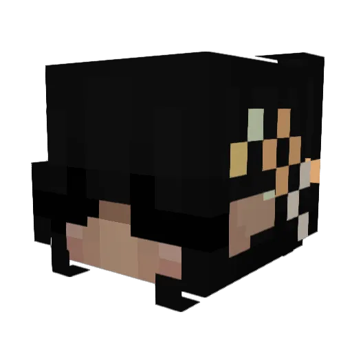 sxko_ Minecraft avatar head, 3D render
