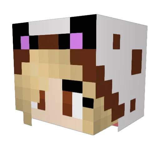 sxlaw Minecraft avatar head, 3D render