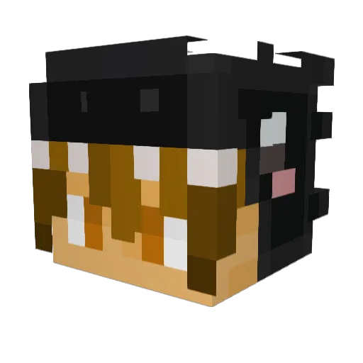 sxlles Minecraft avatar head, 3D render