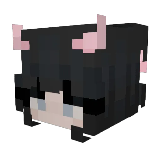 sxlsss Minecraft avatar head, 3D render