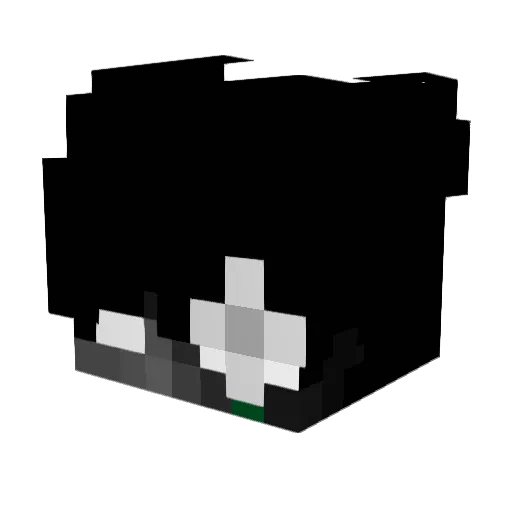 sxn9_ Minecraft avatar head, 3D render