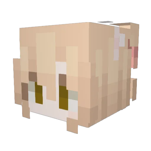 sxness Minecraft avatar head, 3D render