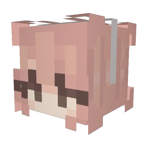 sxnnysoul Minecraft avatar head, 3D render