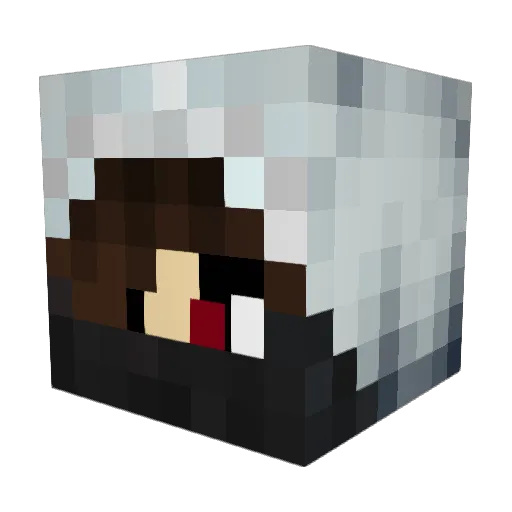 sxnx_phoenix Minecraft avatar head, 3D render