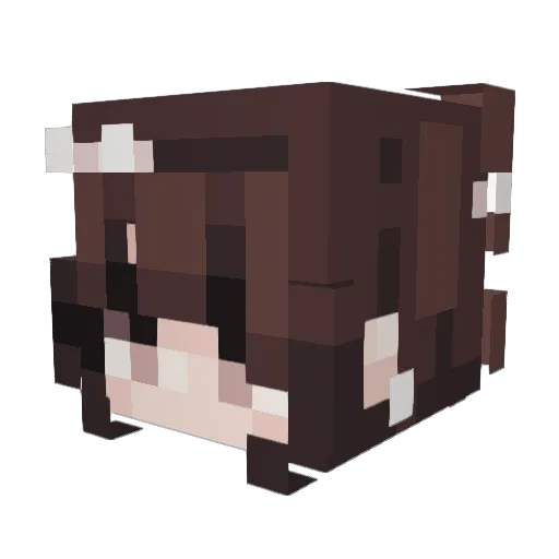 sxoleii Minecraft avatar head, 3D render