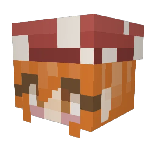sxrxr9 Minecraft avatar head, 3D render