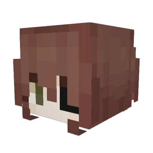 sxsxkdss Minecraft avatar head, 3D render