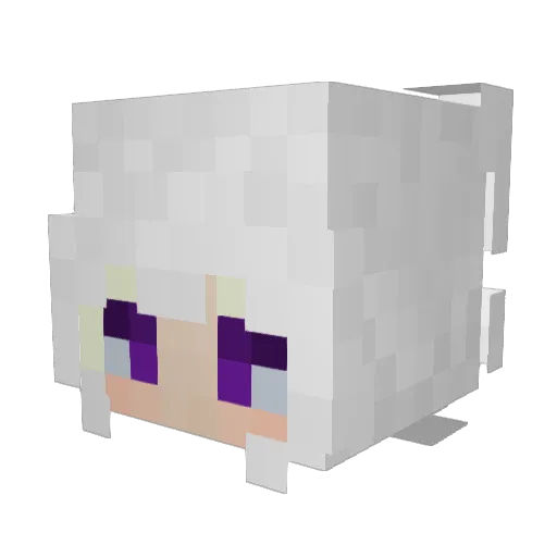 sxt0 Minecraft avatar head, 3D render