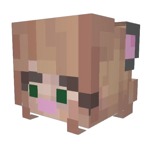 sxturn_moon1 Minecraft avatar head, 3D render