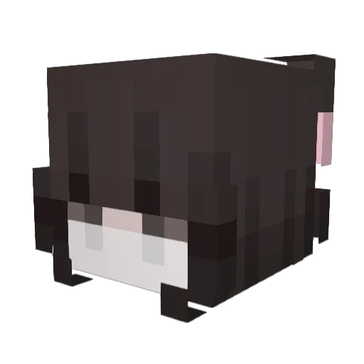 sxvn_ Minecraft avatar head, 3D render