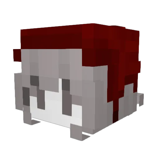sxxsss Minecraft avatar head, 3D render