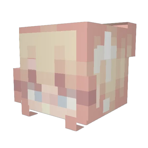 sydneyisskibidi Minecraft avatar head, 3D render