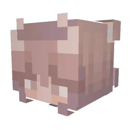 sydneyx30 Minecraft avatar head, 3D render