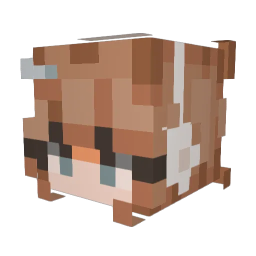 sydneyz35 Minecraft avatar head, 3D render