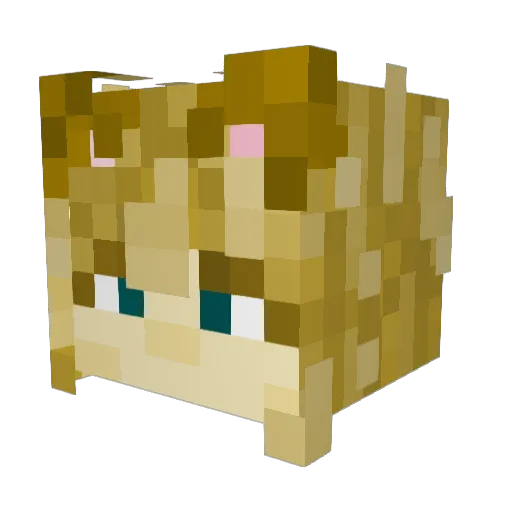 sydnya Minecraft avatar head, 3D render