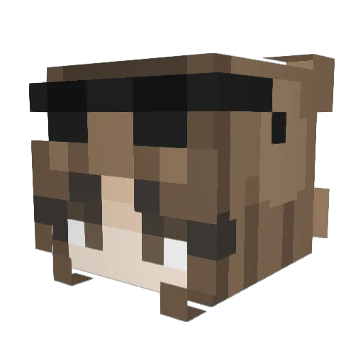 sydxalohaa Minecraft avatar head, 3D render