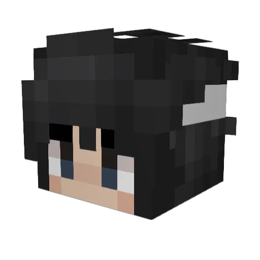 sydyeh2266 Minecraft avatar head, 3D render
