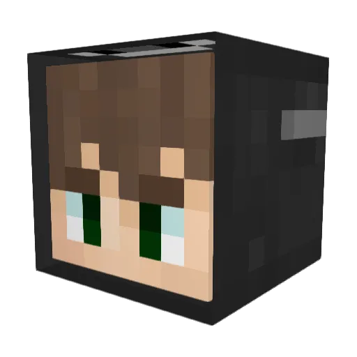 sygi8 Minecraft avatar head, 3D render