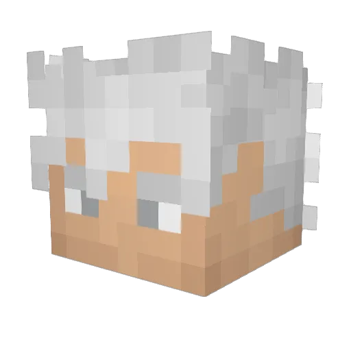syiinfinite Minecraft avatar head, 3D render