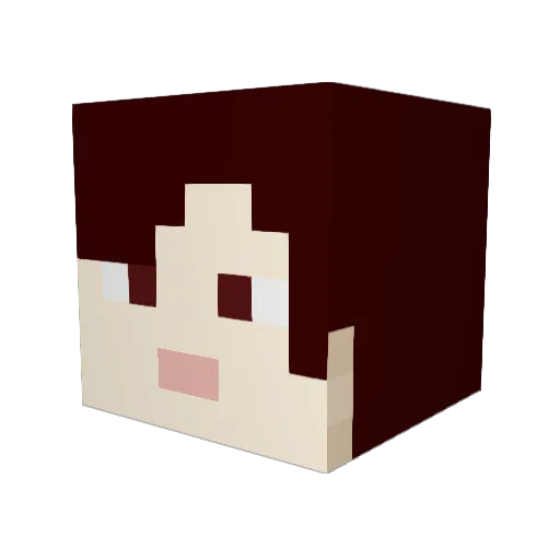 syj1209 Minecraft avatar head, 3D render