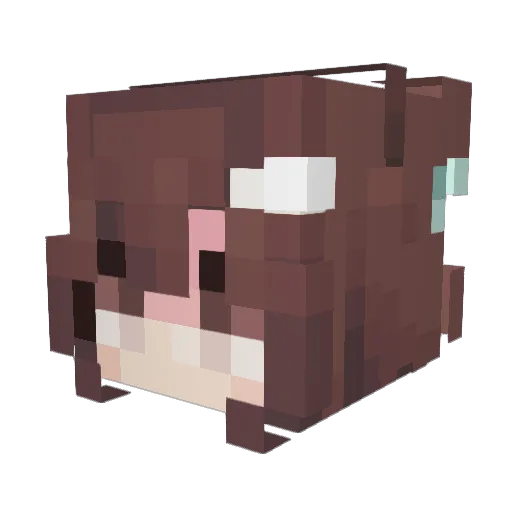 sylverfox07 Minecraft avatar head, 3D render