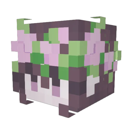 sylviecat21 Minecraft avatar head, 3D render