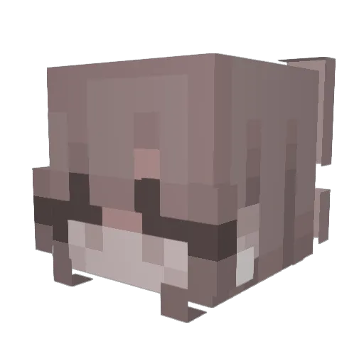 symmxtrius Minecraft avatar head, 3D render