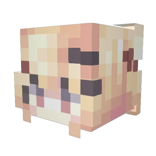 symosilai Minecraft avatar head, 3D render