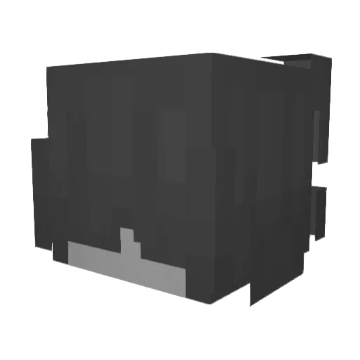 symp4ny Minecraft avatar head, 3D render