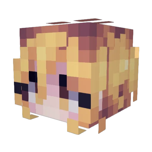 symphunia Minecraft avatar head, 3D render