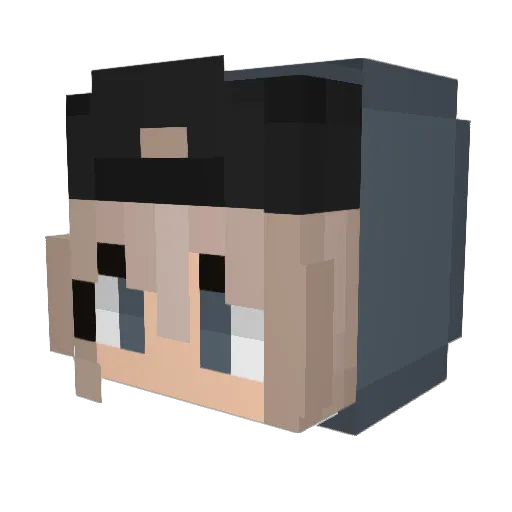 sympre Minecraft avatar head, 3D render