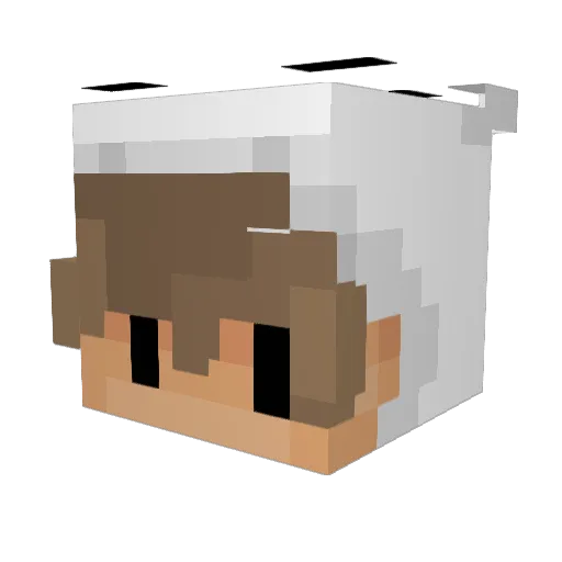 syncro_MCYT Minecraft avatar head, 3D render