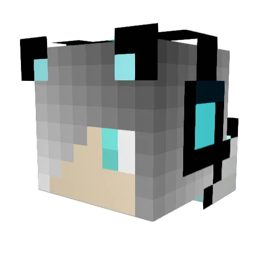 syrhd669 Minecraft avatar head, 3D render