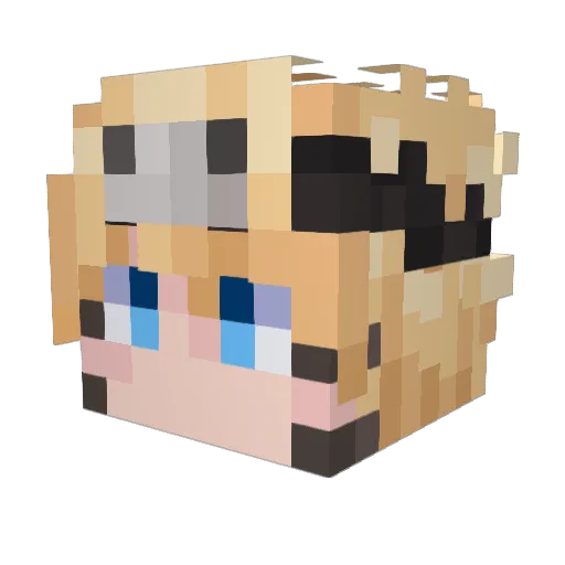 syubambi Minecraft avatar head, 3D render
