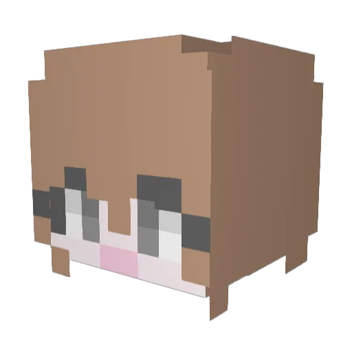 syuni103 Minecraft avatar head, 3D render