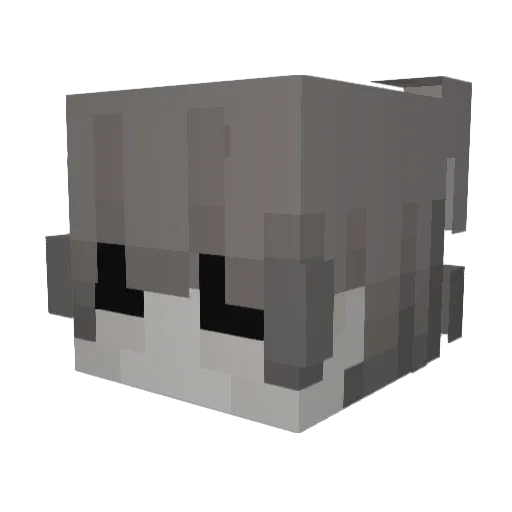 szanni Minecraft avatar head, 3D render