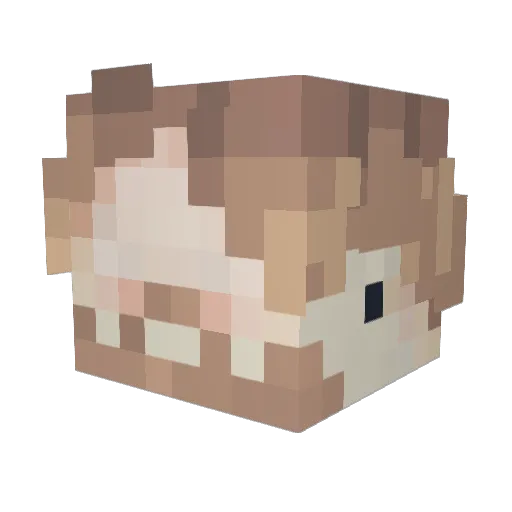 szoch Minecraft avatar head, 3D render