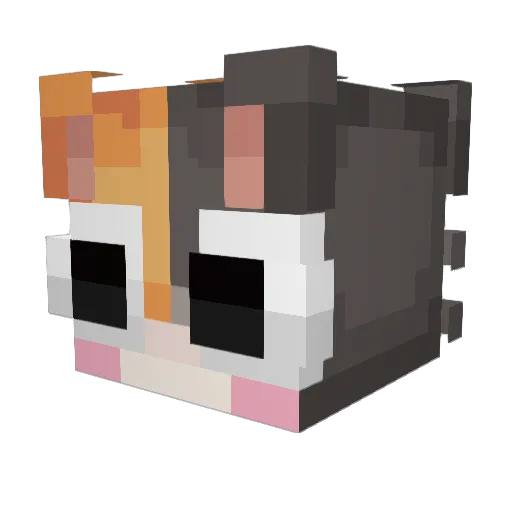 szoferr Minecraft avatar head, 3D render