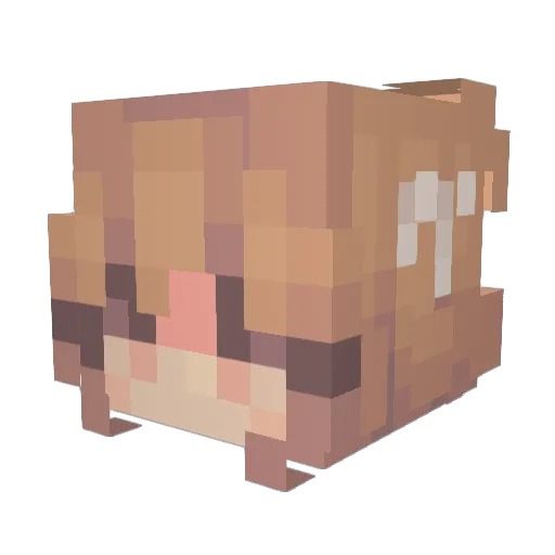 szphi4a Minecraft avatar head, 3D render