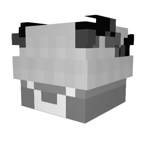 szymnx Minecraft avatar head, 3D render